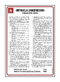 DB033 Instrukcja zabezpieczenia przeciwpożarowego lasów