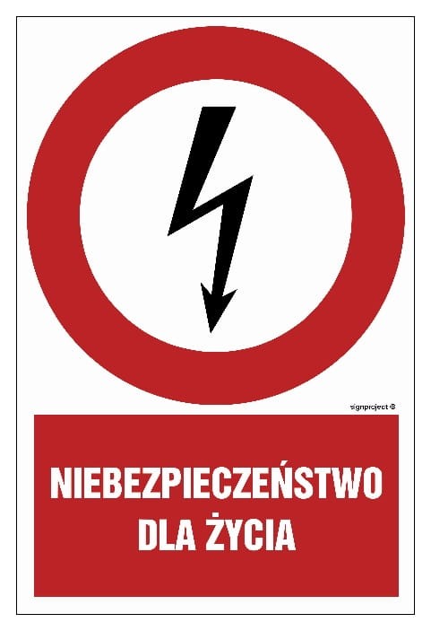 Tablica "Niebezpieczeństwo dla życia" z symbolem pioruna - dostępna w różnych rozmiarach i podłożach, w tym fotoluminescencyjnych i wodoodpornych, spełniająca normy BHP i przepisy dotyczące bezpieczeństwa.