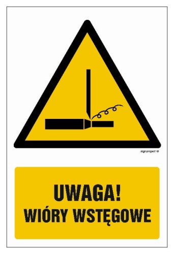 GF067 Uwaga! Wióry wstęgowe