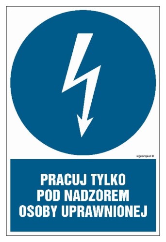 HE010 Pracuj tylko pod nadzorem osoby uprawnionej