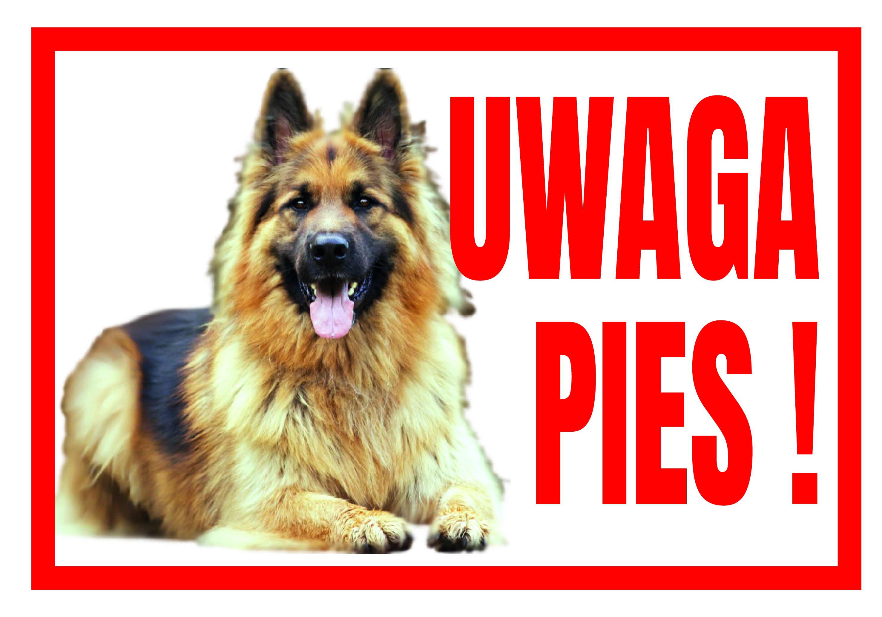 Czy należy posiadać na posesji ostrzeżenie UWAGA ZŁY PIES lub UWAGA PIES